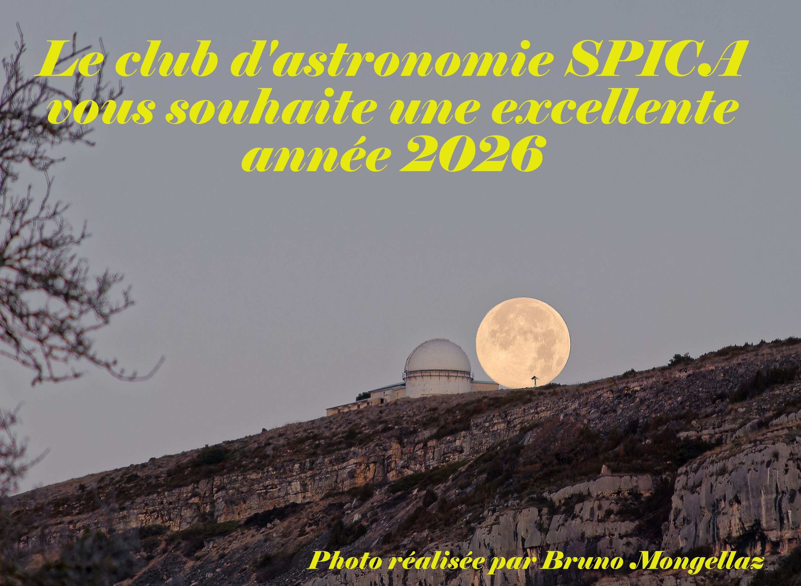 DSC_1924_01_DxO%20-%20Copie